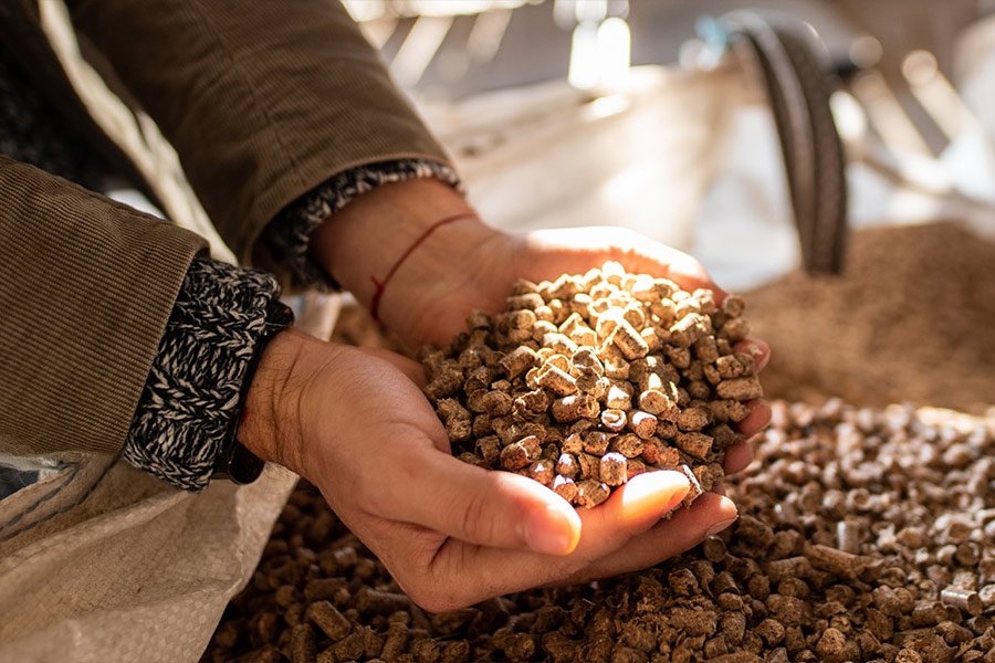 Dekoratives Bild Dekoratives Bild